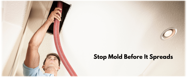 Air Duct Mold Removal in Palm Desert